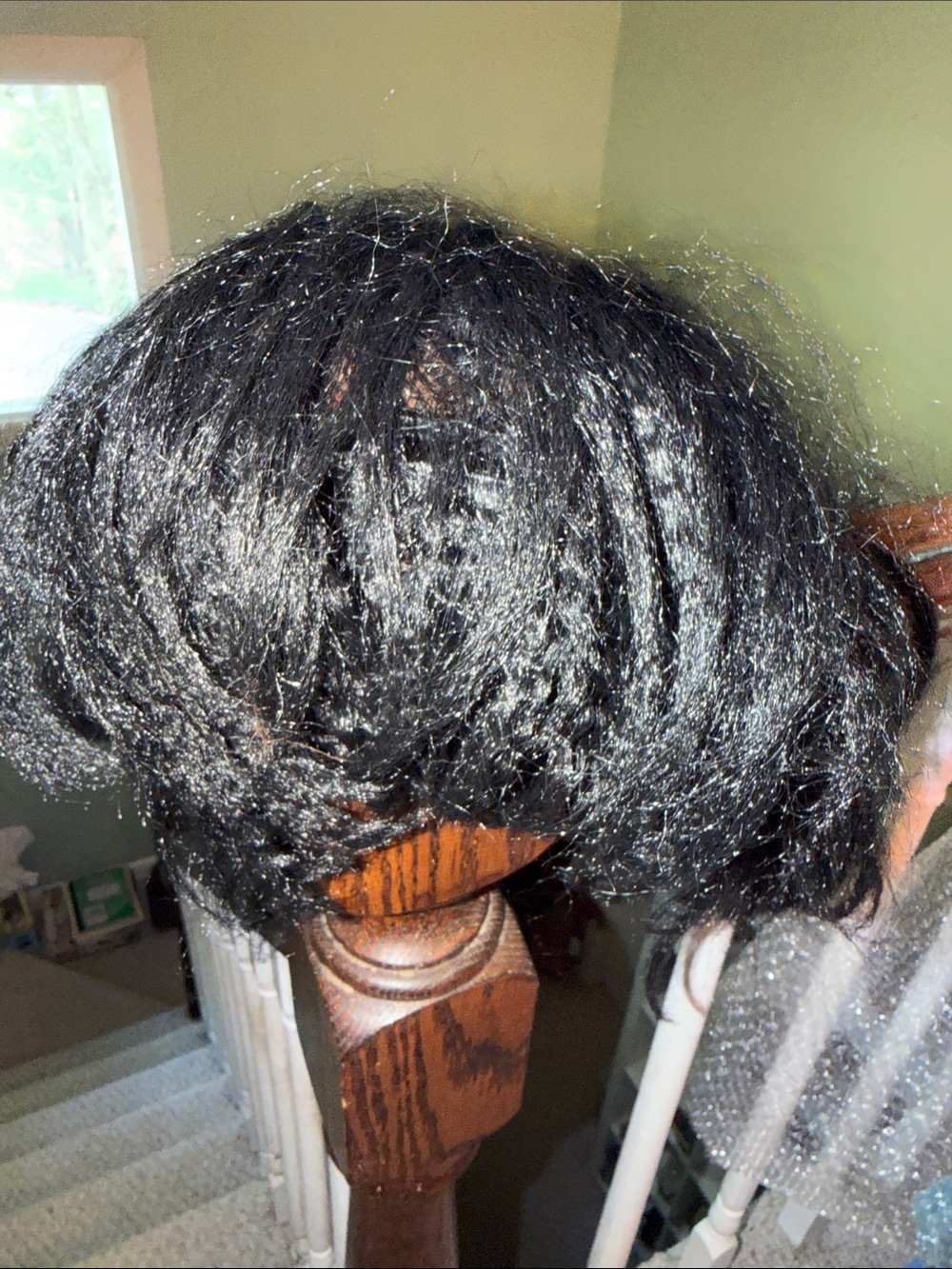 Rubie’s Family Jewels Wig Short, Unkempt Black “Hair”  Halloween Wig